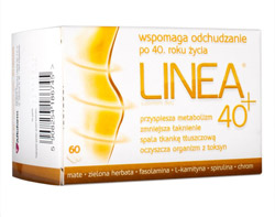 linea 40
